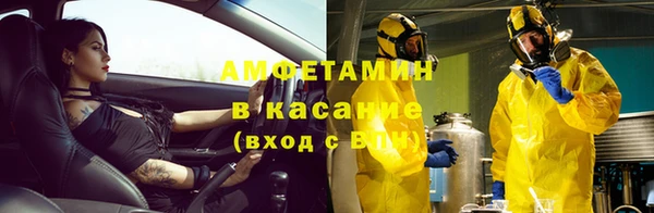 стаф Абаза