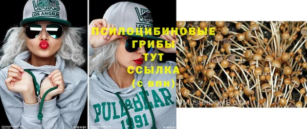 таблы Магас