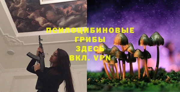 стаф Абаза