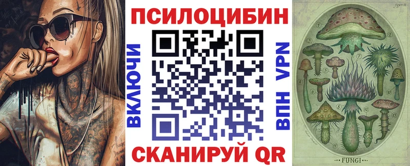 Псилоцибиновые грибы мицелий  кракен зеркало  Новомичуринск 