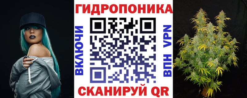 цена   сайты даркнета наркотические препараты  Бошки марихуана тримм  Новомичуринск 